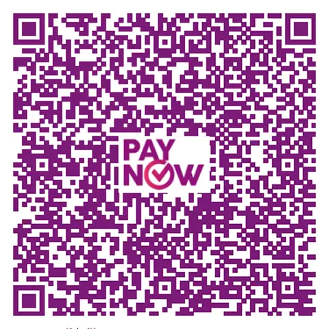 PayNow QR Code